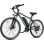 Bicicleta eléctrica Yoloway M10 250 W 36 V 12,5 Ah Verde Suspensão LCD