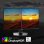 Monitor MSI MPG 321URXDE 31,5" UltraHD 4K 240Hz QD-OLED höhenverstellbar