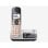 Téléphone Panasonic KX-TGE522 Sans Fil DECT Double Combiné Argent