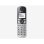 Téléphone Panasonic KX-TGE522 Sans Fil DECT Double Combiné Argent