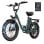 Bicicletta elettrica URLIFE E20 250W 48V 13Ah Fat Tire Verde