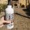 Laken Futura Café - Botella Térmica De Boca Estrecha De 0.5l En Acero Inoxidable. Blanco
