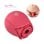 Klitorisstimulator Do You Erotic Rose 10 Modi IPX7 Magnetische USB-Ladung
