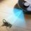 Saugroboter mit Wischfunktion Philips HomeRun Aqua XU7000/01 Navigationsklasse Laser 5.000 Pa Sprachsteuerung