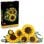LEGO Botanicals Ramo de Girasoles 11502 686 piezas