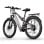Bicicletta elettrica RANDRIDE YG90 500W 48V17Ah 27,5'' Grigia
