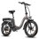Bicicletta Elettrica Fafrees F20 250W 36V 18Ah 20 pollici Grigia