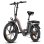 Bicicletta Elettrica Fafrees F20 250W 36V 18Ah 20 pollici Grigia