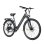 Bicicleta eléctrica Pixar City1 250W 36V 10,4Ah autonomía 45 km gris