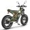 Bicicletta elettrica Fafrees F20 Ultra 750W 48V25Ah 20 pollici Verde