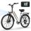 Bicicletta elettrica URLIFE E26 250W 48V10.4Ah 26 pollici Freni a disco Bianco