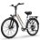 Bicicletta elettrica URLIFE E26 250W 48V10.4Ah 26 pollici Freni a disco Bianco
