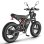 Bicicletta elettrica Fafrees F20 Ultra 750W 48V25Ah 20 pollici Freni idraulici