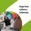 Color Premium Brother Lc521 Tinta Compatible Magenta