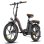 Bicicleta Elétrica Fafrees F20+ Pro 250W 36V 25Ah 20" Preto