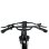 Bicicletta elettrica Pixar Ride1 500W 48V 10,4Ah 20" Grigia