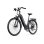 E-Bike OneSport OT05 Pro 250W 36V 22,5Ah 28 Zoll Grau