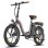 Bicicleta Elétrica Fafrees F20+ Pro 250W 36V 25Ah 20 polegadas Cinza Chumbo