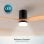 Deckenventilator Cecotec EnergySilence Aero 5600 Classic Black Lightwood DC 40W