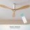 Ventilateur de plafond Cecotec EnergySilence 5400 52 pouces DC 40W 3 pales