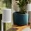 Altavoces Sonos Era 100 SL inalámbricos con Bluetooth 5.3 y AirPlay 2