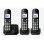 Telefone Panasonic KX-TGC 463GB DECT Viva-voz 120 contactos Preto