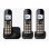 Telefone Panasonic KX-TGC 463GB DECT Viva-voz 120 contactos Preto