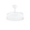 Ventoinha de Teto com Luz Orbegozo CP 156120 35W 120cm 6 Velocidades Pás Retráteis Comando