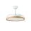 Ventilatore da Soffitto con Luce Orbegozo CP 160105 30W 105cm 6 Velocità Pale Retrattili LED Telecomando