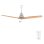 Ventoinha de Teto com Luz Cecotec EnergySilence Aero 5230 40W 132cm 6 Velocidades Comando