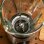 Batidora de vaso Power Black Titanium 2300MAX Inox Pro 2300W 1.8L
