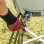Pack Accessori Barbacca Kamado DragonPack 4600 M Pinze Copertura Raccoglitore Cenere