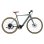 Bicicleta Eléctrica Sprint Silver 28" 70 km Autonomía Shimano Altus 8v