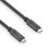 Cable USB-C a USB-C PureLink PI6600-050 5 m USB 3.2 Gen 1 10 Gbit/s Negro