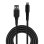 Cable Lindy 31292 2 m Lightning a USB A macho macho negro