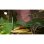 Super Meat Boy 3D Special Edition SWITCH 2