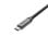 Base pour Portables Hama Connect2Office Work USB-C 12 Ports