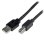 Cabo USB A a B Activo 20 m StarTech.com USB 2.0 Preto