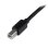 Cabo USB A a B Activo 20 m StarTech.com USB 2.0 Preto