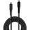 Cable Lindy Lightning a USB C 3 m Negro