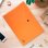 Carpeta Dossier Liderpapel Broche Polipropileno DIN A4 50 Hojas Naranja Fluor