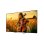 TV Sony Mini LED K75XR59BP.CEI 75" 4K UltraHD 120Hz Smart TV Google TV Dolby Vision IMAX Enhanced