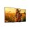 TV Sony Mini LED K75XR59BP.CEI 75" 4K UltraHD 120Hz Smart TV Google TV Dolby Vision IMAX Enhanced