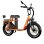 Bicicleta Elétrica Drvetion Et20 750W 48V 15Ah 20" Freios Hidráulicos Laranja