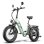 Elektrofahrrad Fafrees Ff20 Polar 500W 48V 20" Hydraulische Scheibenbremsen Grün