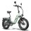 Elektrofahrrad Fafrees Ff20 Polar 500W 48V 20" Hydraulische Scheibenbremsen Grün