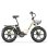 Bicicleta Eléctrica Zwheel Urban Pioneer Beige 250W 48V 13Ah 100 km Autonomía