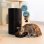 Comedero Automático Mascotas Cecotec Pumba 8600 Double Meal Vision Wifi Cámara