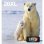 Cartucho de Tinta Epson Polar Bear Multipack 4-colours 26XL EasyMail