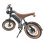 Dyu M20 Adulto Bicicleta Eléctrica 1500W Motor 48V 18.2Ah Batería 20 Pulgadas Neumático Graso